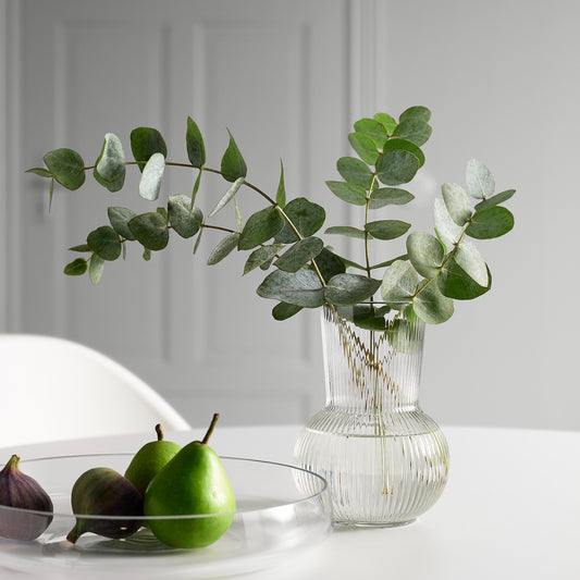 IKEA PÅDRAG Vase – Clear Glass, 17 cm