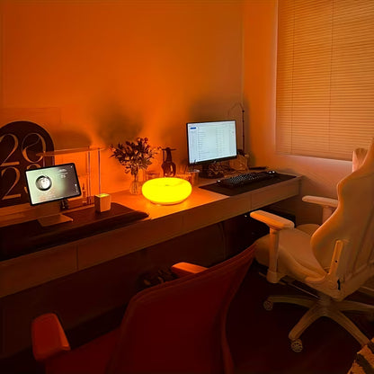 Donut Lamp XL - Wired - The new big one.  Touch Light for Desk & Wall