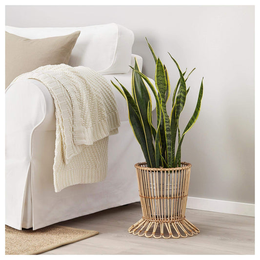 Ikea KANELSTANG KANELSTÅNG Plant Stand