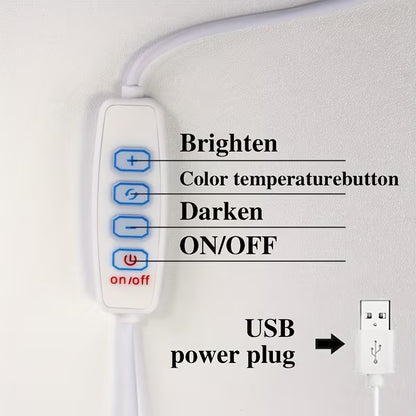 Mushroom Table Lamp – 3 Color & Dimming Light