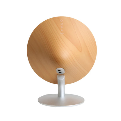 DANSOON Mini Bluetooth Wireless Speaker — Light Wood