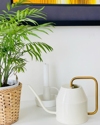 IKEA: FRIDFULL Plant pot, water hyacinth, 4 ¾ "