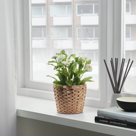IKEA: FRIDFULL Plant pot, water hyacinth, 4 ¾ "