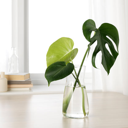 IKEA: KARAFF Carafe – Clear Glass, 1.0 L