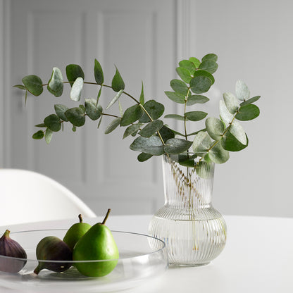 IKEA PÅDRAG Vase – Clear Glass, 17 cm