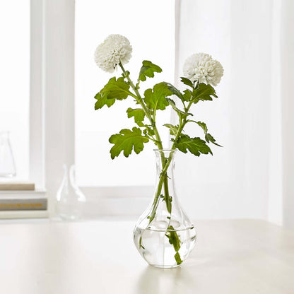 legant VILJESTARK glass vase used as tabletop accent piece