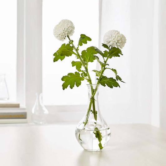 legant VILJESTARK glass vase used as tabletop accent piece