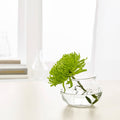 Compact 8 cm VILJESTARK vase with elegant, simple design